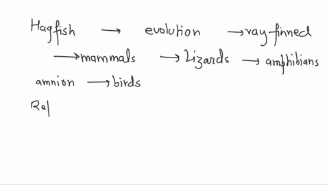 9-name-a-synapomorphy-between-sharks-and-ray-finned-fish-picture-below-hagfish-ray-finned-fish-vertebrae-bony-skeleton-amniotic-egg-mammals-egg-with-air-space-egg-with-shell-birds-four-limbs-29154