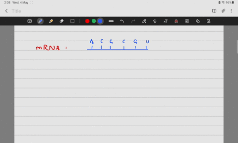 if-the-mrna-produced-had-the-sequence-acgcgu-what-would-be-the-trna-anticodon-sequence-62685
