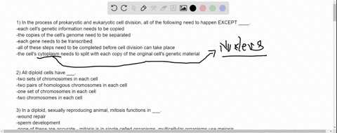 1-in-the-process-of-prokaryotic-and-eukaryotic-cell-division-all-of-the-following-need-to-happen-except-____-each-cells-genetic-information-needs-to-be-copied-the-copies-of-the-cells-genome-69341