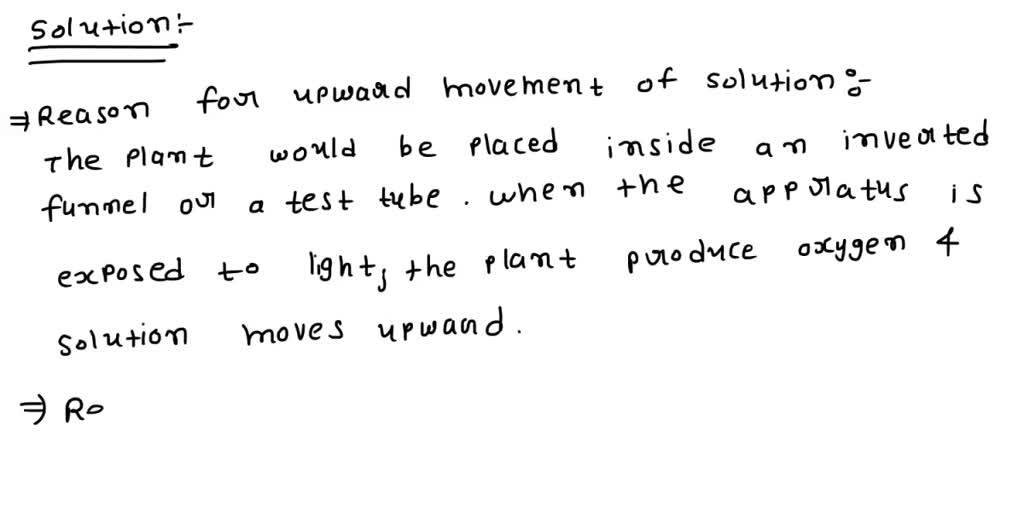 solved-in-the-rate-of-oxygen-synthesis-in-elodea-experiment-why-did