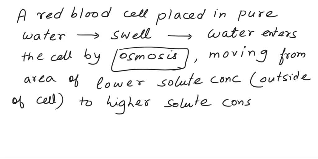 SOLVED: A red blood cell placed in pure water would swell initially