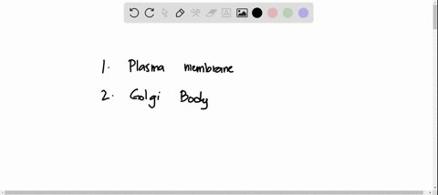 please-help-me-by-answering-these-multiple-choice-answers