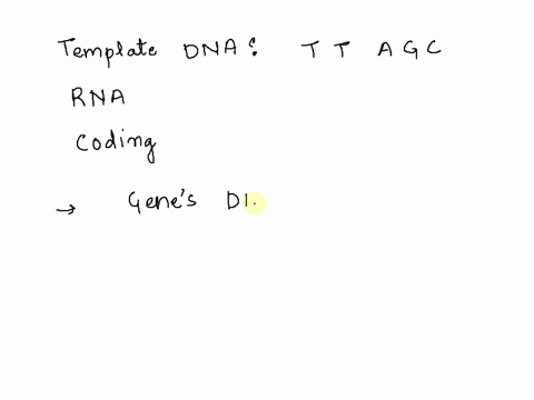 the-template-dna-sequence-for-a-gene-is-ttagc-what-is-the-coding-sequence-what-is-the-rna-transcript-16147