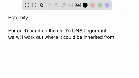 consider-the-following-data-obtained-from-paternity-test-which-individual-is-the-father-of-the-child-m-mother-ch-child-1-possible-father-2-possible-father-3-possible-father-m-ch-2-3-42306