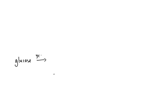the-fermentation-of-glucose-by-yeast-normally-yields-a-alcohol-co2-and-36-atp-b-co2-h20-and-36-atp-c-alcohol-co2-and-2atp-d-lactic-acid-co7-and-2-atp-11722
