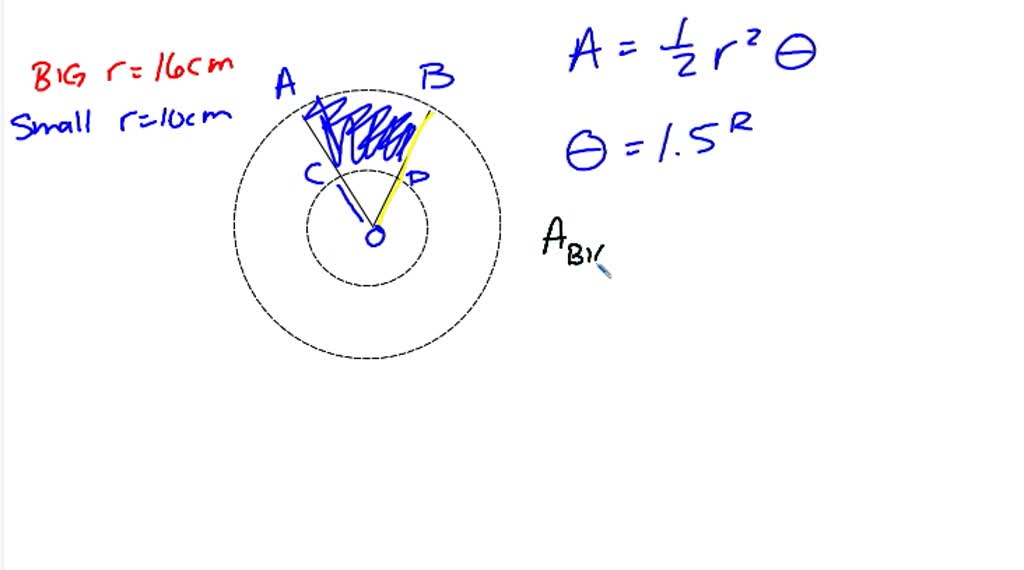 SOLVED 'Unit Circle Quiz Review The diagram below shows two circles