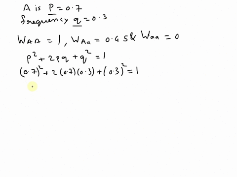 consider-a-population-which-the-frequency-of-allele-a-is-p-07-and-the-frequency-of-allele-is-q-03and-in-which-the-alleles-are-codominant-what-will-be-the-allele-frequency-of-a-atter-one-gene-73584