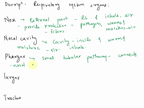 1-give-a-brief-description-of-all-of-the-organs-of-the-respiratory-system-such-as-the-nose-nasal-cavity-pharynx-larynx-trachea-bronchi-and-lungs-2-explain-the-path-of-air-exchange-in-the-res-41478