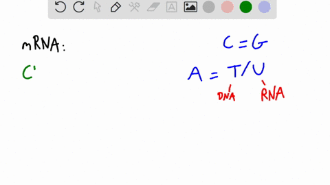 1-use-the-dna-sequence-and-the-codon-table-below-to-answer-the-nex-two-questions-3-pts-dna-gagcctaccactatcctacta-1-mrna-type-letters-without-spaces-2-mini-polypeptide-type-amino-acid-and-for-65618