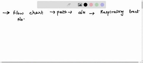 make-a-flow-chart-of-the-path-that-air-takes-though-the-respiratory-tract-92458