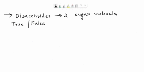 disaccharides-include-what-sugar-molecules-true-or-false-23504