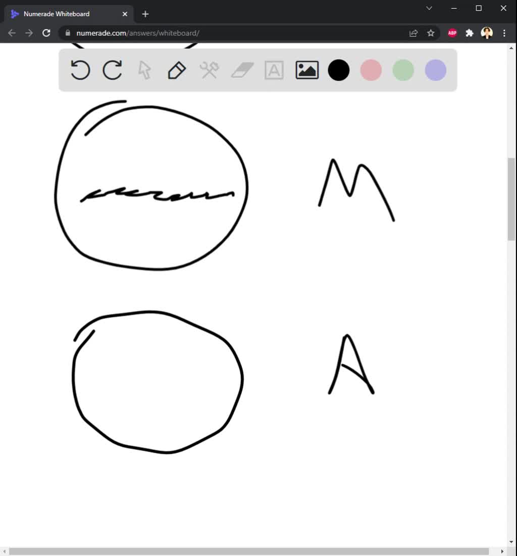 SOLVED Procedure Mitosis in Real Life Find some items you can use