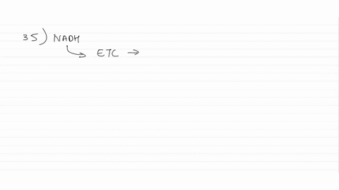 wnkch-temprrature-analysis-ofan-entyma-curve-curvl-oumvo-curyc-ph-protile-utves-0n-the-ua-stomnach-ohere-eraphs-were-moit-lkeky-gencrated-conditions-ar-terato-daolke-pho-sprcolrsls-and-the-c-13824