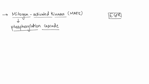question-5-which-of-the-following-statements-stated-below-is-precisely-incorrect-a-a-signaling-module-called-a-phosphorylation-cascade-or-a-kinase-cascade-activates-mitogen-activated-protein-40416