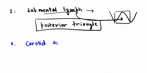 1-the-submental-lymph-nodes-are-located-in-o-the-occipital-triangle-the-supraclavicular-triangle-8-the-posterior-triangle-none-of-above-all-of-above-2-the-common-carotid-artery-arises-from-t-53409