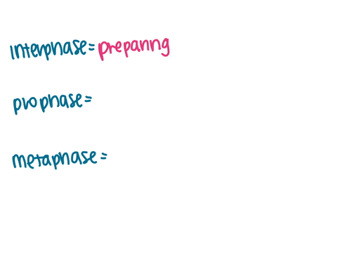 2-if-a-cell-goes-through-a-cycle-in-100-minutes-calculate-how-many-minutes-the-cell-spends-in-each-stage-of-the-cell-cycle-interphase-05556-times-100-minutes-5556-minutes-prophase-02778-times-100-minu