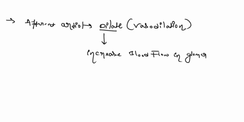 the-afferent-arterfolein-responsethe-afferent-arteriole-should-stabiize-glomerular-filtration-rate-decreasedvasodilation-o2-decreasedvasoconstriction-o3-increasedvasodilation-4-increasedvaso-45897