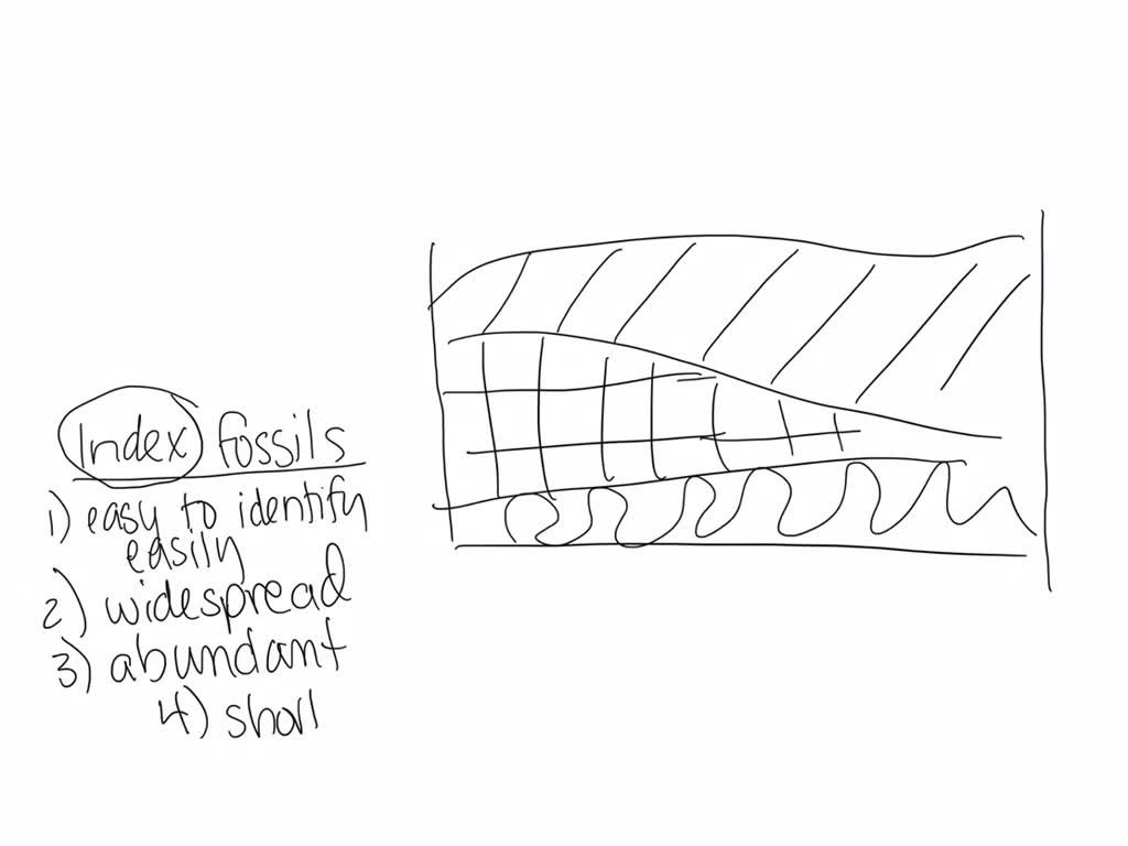 SOLVED what are the characteristics of index fossils