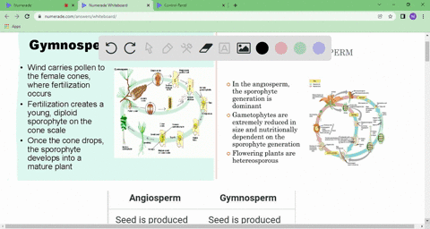 combine-your-own-diagrams-and-discussion-to-compare-the-gymnosperm-life-cycle-from-unit-1-with-the-angiosperm-life-cycle-47322