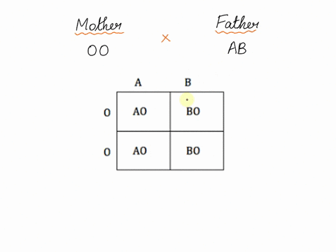what-will-be-rhe-possible-blood-types-of-offsprings-produced-by-the-mother-with-type-o-blood-and-father-with-type-ab-blood-use-punnet-square-and-explain-your-conclusion-66893