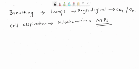 how-is-breathing-related-to-cell-respiration-hint-think-about-both-the-reactants-and-the-products-of-cellular-respiration-57016