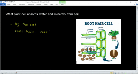 SOLVED: Which structure in plants resists changes in osmotic pressure?