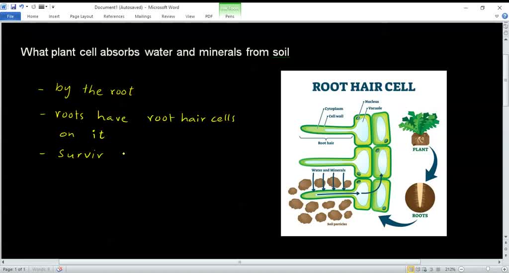 SOLVED which plant cell structure stores large amounts of chemicals