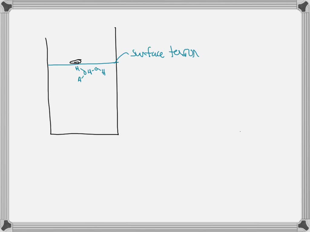 SOLVED Which of these best explains why a paper clip can float on