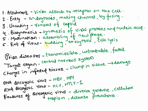 17-write-in-1-2-sentences-what-happens-during-each-phase-animal-wnc-replication-altachment-entry-_-iist-three-mechanisms-uncoating-biosynthesis-maturarion-exit-of-virus-list-two-mechanisms-1-54862
