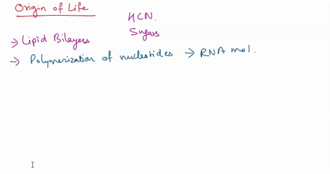 7which-option-places-the-likely-events-in-the-origin-of-life-in-the-correct-order-answers-aabiotic-synthesis-of-amino-acids-and-other-organic-molecules-synthesis-of-proteins-development-of-a-19057