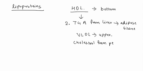 select-the-name-of-the-lipoprotein-that-correctly-matches-each-function-major-carrier-of-cholesterol-in-blood-liver-peripheral-tissues-produced-in-the-liver-from-triacylglycerols-deliver-syn-38966