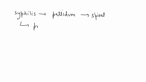 explain-the-different-stages-of-syphilis-terminologytopics-to-include-causative-organism-morphology-gram-stain-reaction-73805
