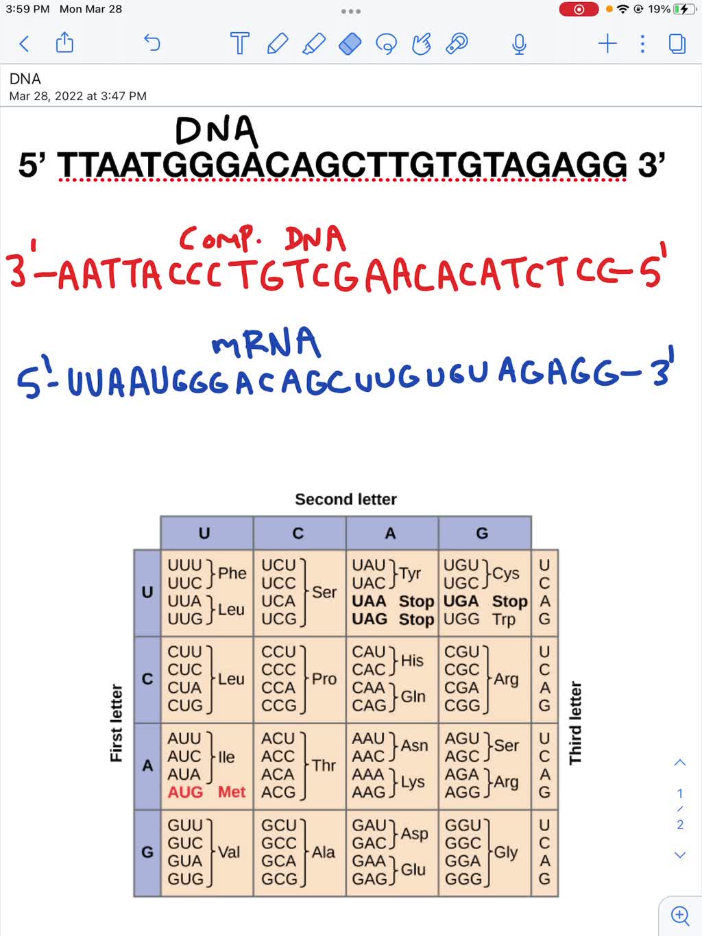 Solved: Part 5: Coding Practice Use This Sequence Of Dna To Answer The 