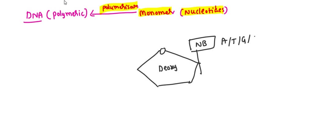 solved-a-dna-unit-is-made-up-of-repeating-units-what-is-the-repeating