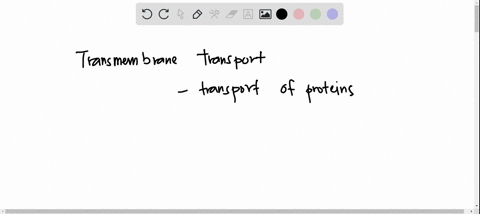 which-of-the-following-is-an-example-of-transmembrane-transport-group-of-answer-choices-transport-of-a-protein-from-the-cytosol-to-the-nucleus-transport-of-a-protein-from-the-cytosol-to-the-00611