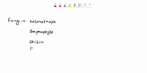 wbich-of-the-following-jsf-ls-cearts-fungi-most-are-composed-of-hyphae-they-function-_-diecomnosen-cell-wall-that-is-prcdominantly-inrlat-of-chitin-they-have-they-rcproducc-sexually-asexilai-29485