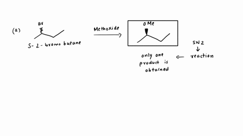 draw-the-products-obtained-from-the-sn2-reaction-ofa-2-bromobutane-and-methoxide-ion-c-s-3-chlorohexane-and-hydroxide-ionb-r-2-bromobutane-and-methoxide-ion-d-3-iodopentane-and-hydroxide-51447