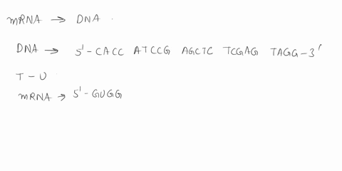 homowor-12-20-pte-inal-ihe-word-file-sulr-utl-you-cun-urte-srid-druw-paper-lake-pcturr-qf-squr-work-cs-ilan-hwrlbt-f0-ytlr-muair-acceptable-format-wonl-plljpeg-h-no-hiec-fikes-plcaset-ubmi-p-39611