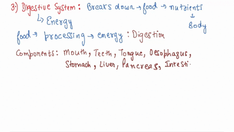1-the-human-body-is-made-up-of-several-systems-including-cardiovascular-lymphatic-immune-and-respiratory-each-system-is-made-up-of-several-organs-with-common-functions-discuss-the-primary-fu-50662