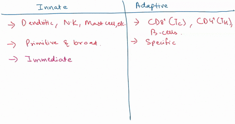 1-what-are-some-major-differences-between-innate-and-adaptive-immunitya-innate-immunity-needs-to-be-stimulated-whereas-adaptive-immunity-responds-quickly-and-adapts-easily-to-pathogensb-inna-84117