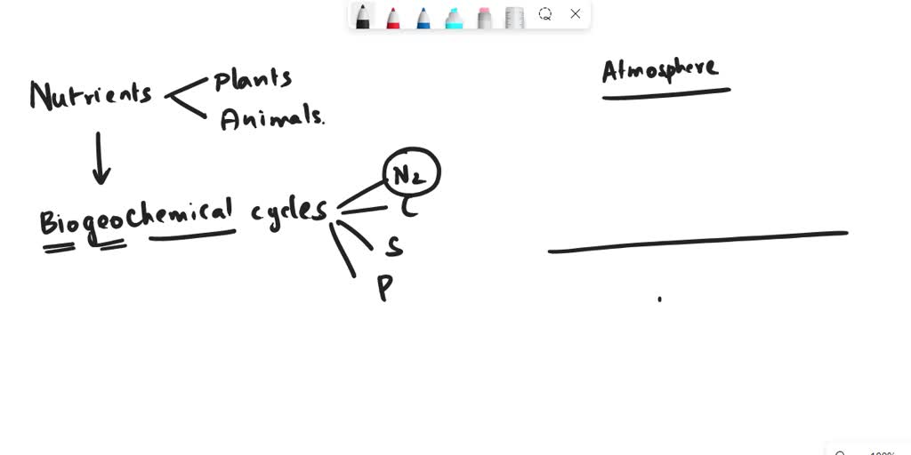 SOLVED: In order for plants and animals to be able to use nitrogen, N2 gas  must first be converted to more a chemically available form. Review the  picture of the nitrogen cycle.