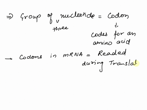second-mrna-base-uuu-uuc-uua-uug-ucu-ucc-uca-ucg-uau-ugu-vac-ugc-uaa-solv-oga-9as-565-ugg-cuu-cuc-cua-cug-ccu-ccc-cca-ccg-cau-cgu-cac-cgc-caa-cga-iglm-cag-cgg-auu-auc-aua-aug-acu-acc-aca-acg-93615