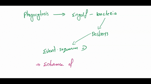 the-first-step-in-the-development-of-a-b-cell-that-will-ultimately-produce-antibodies-that-bind-to-a-pathogen-is-____-pick-one-1-the-ingestion-of-the-pathogen-so-that-antigen-could-be-identi-75152