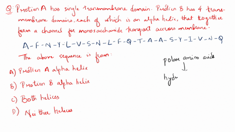 protein-a-has-a-single-transmembrane-domain-that-is-an-alpha-helix-protein-b-has-four-transmembrane-domains-each-of-which-is-an-alpha-helix-that-together-form-a-channel-to-transport-a-monosa-27874