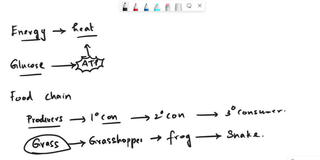 solved-what-is-given-off-at-all-trophic-levels