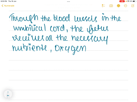 from-where-does-developing-embryo-gets-nutrition-17495