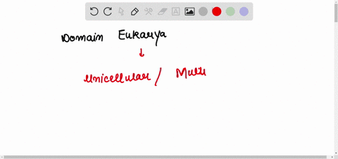 domain-that-includes-both-unicellular-and-multicellularorganisms-a-eukarya-b-bacteria-c-protista-d-fungi-e-plantae-15875