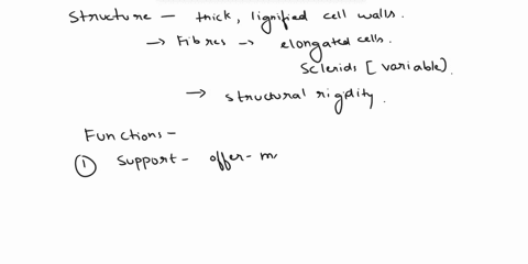 describe-the-structure-functions-and-locations-of-sclerenchyma-for2-marks-49347