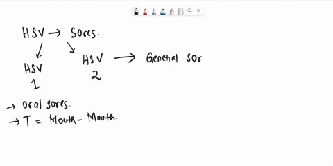 what-is-the-virus-transmission-the-morphology-and-the-family-name-of-the-virus-that-causes-herpes-simplex-virus-1-and-2-08148