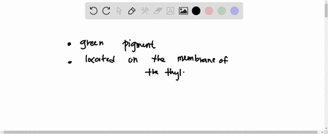 inside-the-chloroplasts-are-colored-substances-that-reflect-or-absorb-light-these-substances-are-called-_____-54667